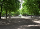 Parque Real en Bruselas