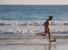 Descubre las playas que permiten perros en Andalucía