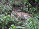 Parque de Conservación de Vida Silvestre Zoo Ave en Alajuela