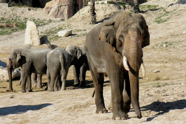 Terra Natura, un zoológico respetuoso en Benidorm