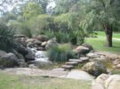 Kings Park, los jardines más populares de Perth