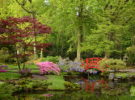 Jardín Japonés de La Haya