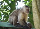 Parque Zoológico Löfling en Ciudad de Guyana