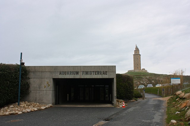 Aquarium Finisterrae, un trozo del Atlántico en la costa de La Coruña