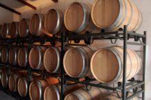Los vinos de Castellón, una joya por descubrir