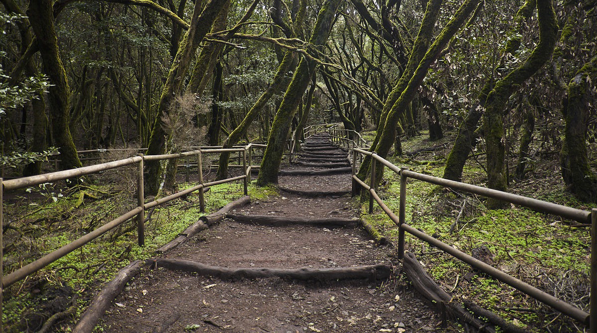 El Parque de Garajonay de La Gomera, un rincón mágico de Canarias