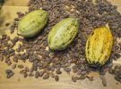 Sendero del  Cacao en San Pedro de Macorís