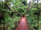 Veragua Rainforest Research and adventure Park en Costa Rica