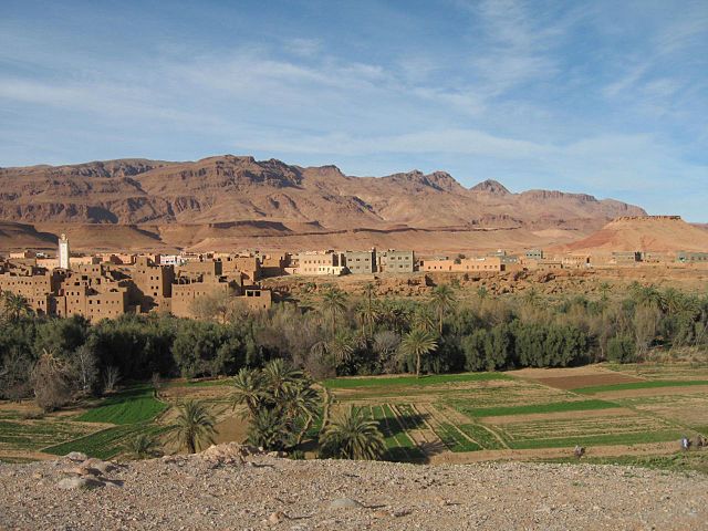 Macro Fossiles Kasbah en Erfoud