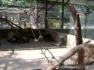 Parque Zoológico Las Delicias en Maracay