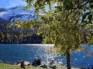 Maloja, un destino suizo para el otoño