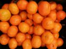 Clemenules, las mejores clementinas del mundo