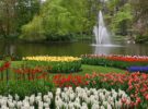 Jardín Keukenhof en Holanda
