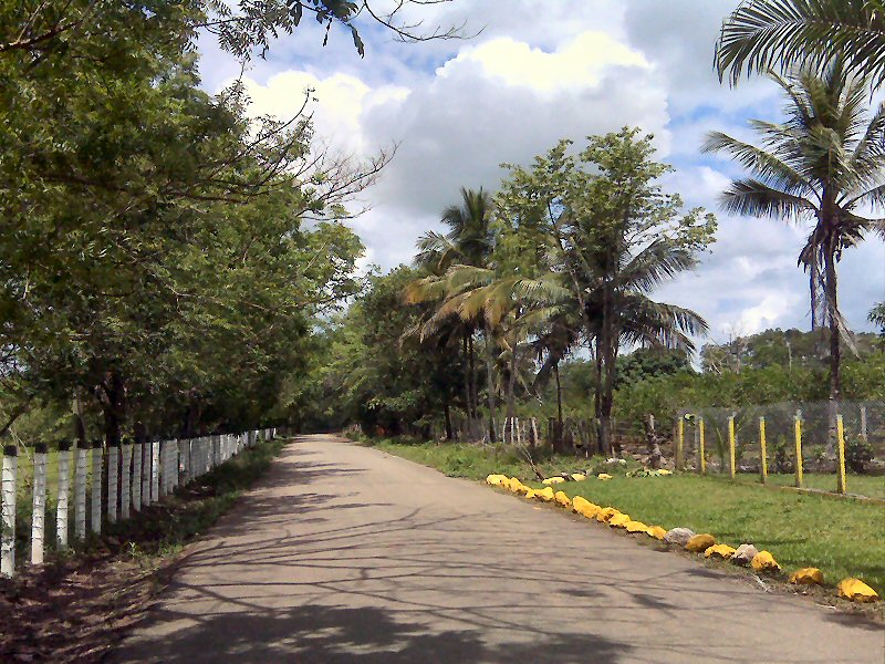 Centro de Diamantes Harry Oppenheimer