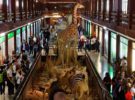 Museo de Ciencias Naturales El Carmen, la naturaleza de todo el mundo al alcance en Onda
