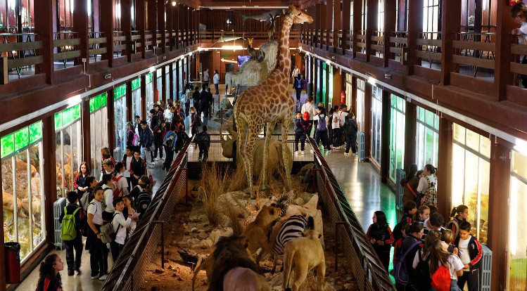 Museo de Ciencias Naturales El Carmen, la naturaleza de todo el mundo al alcance en Onda