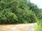 Río Pacuare en Costa Rica