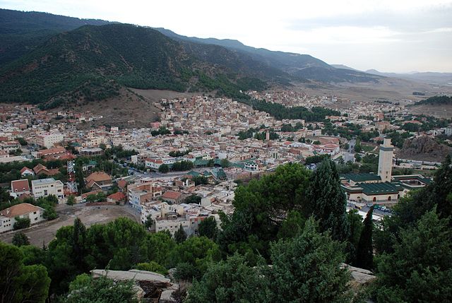 Bosque del Cedro Gouraud en Marruecos