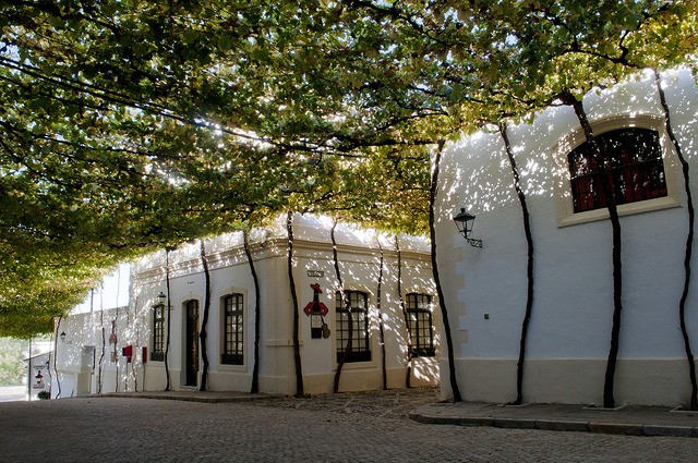 Bodegas Tío Pepe, las bodegas más famosas de Jerez