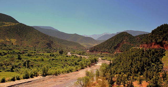 Jardín aromático Nectarome