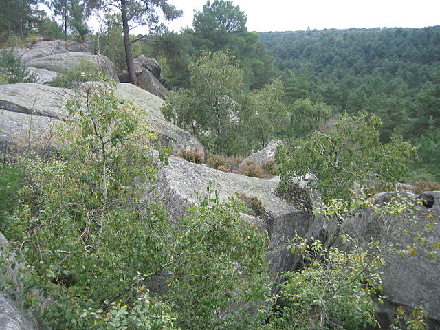 Bosque de Fontainebleau