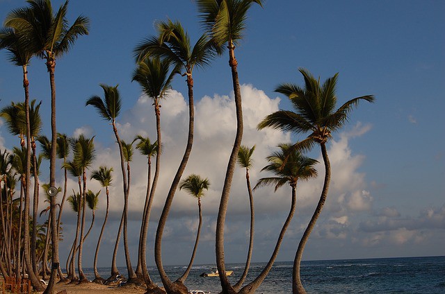 Incremento de turistas en República Dominicana