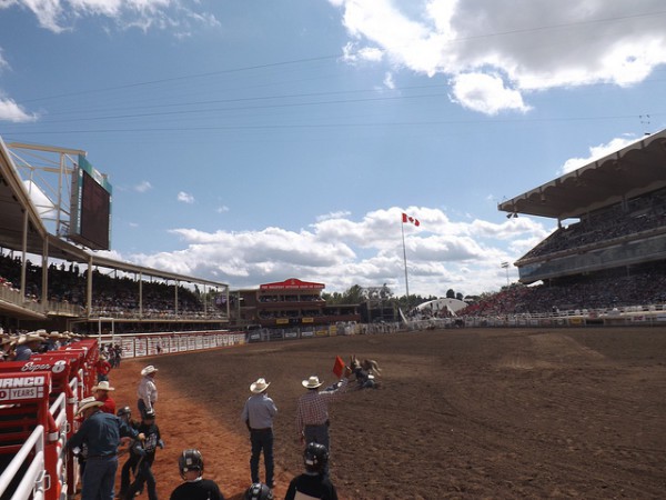 Los rodeos son uno de los eventos importanes de la Calgary Stampede