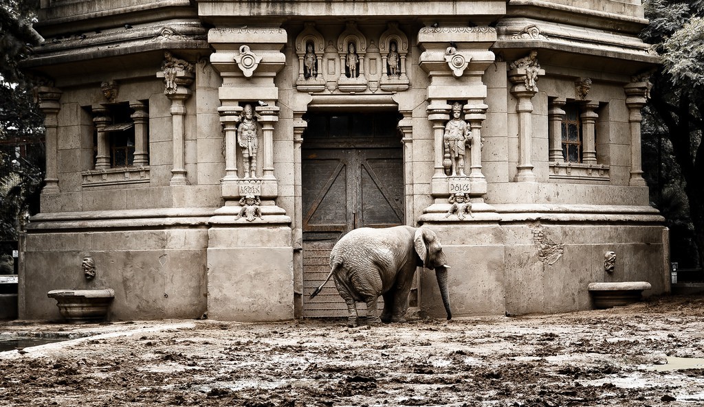 El zoo de Buenos Aires se convertirá en un ecoparque