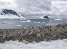 Vuelos turísticos a la Antártida a partir de 2018