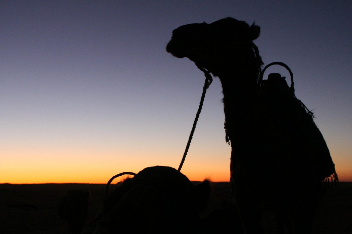 Una aventura inolvidable: la travesía por el desierto de Túnez