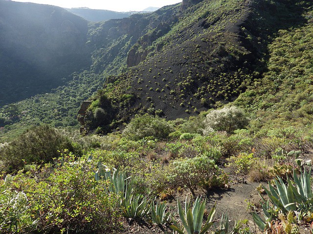 Islas Canarias realizará cambios para el turismo activo