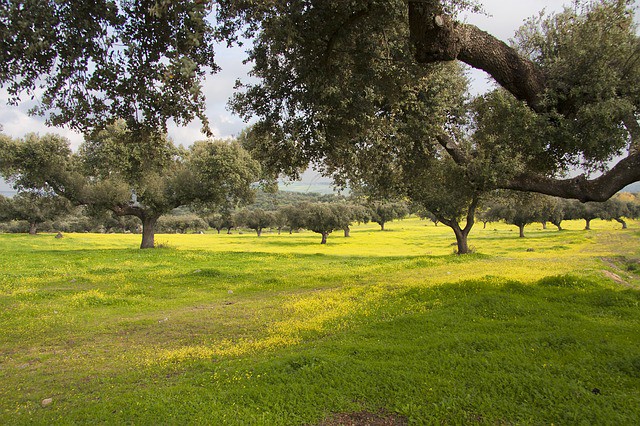 Las propuestas más destacadas de Alentejo para el verano