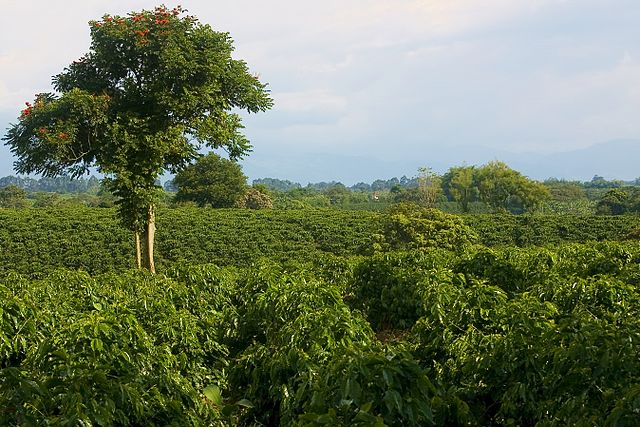 Colombia anuncia corredor turístico en el Eje Cafetero