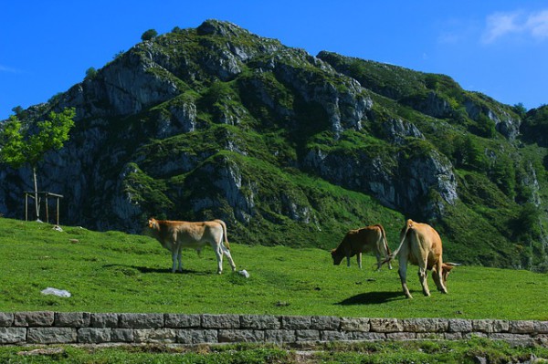 Asturias sigue siendo líder el turismo rural en España