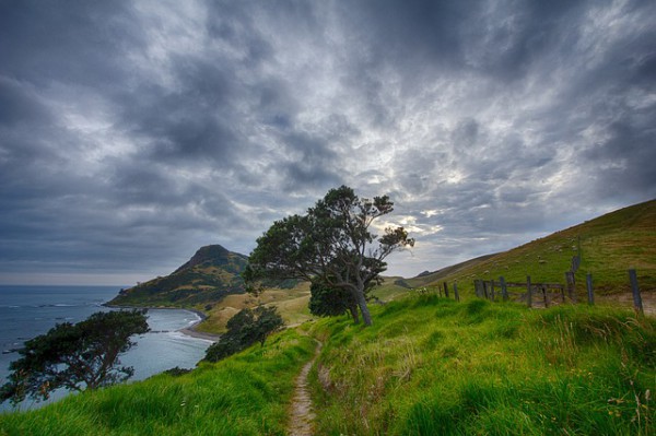 Evolución positiva del turismo en Nueva Zelanda