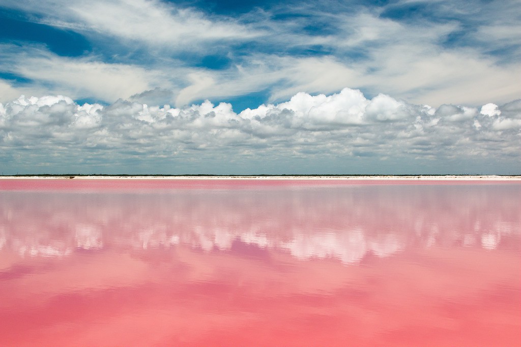 Una sorprendente laguna rosa