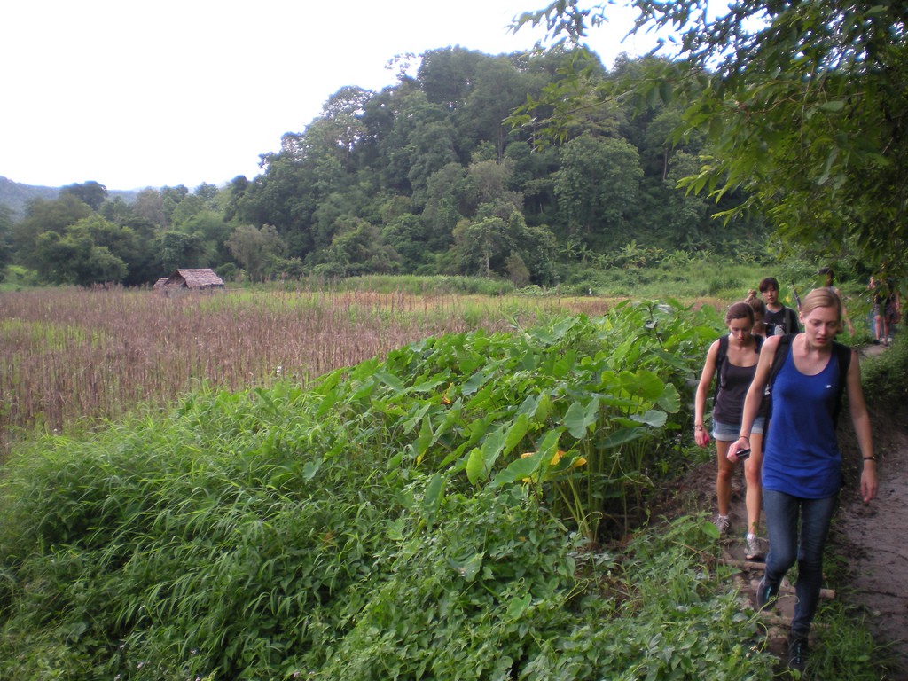 La alimentación durante el trekking