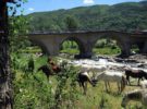 Verano positivo para el turismo rural en España