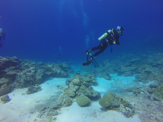 Mejora el Turismo de Buceo