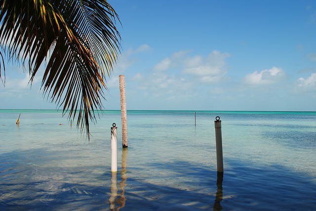 WestJet ofrece una ruta entre Canadá y Belice