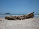Costa Rica sigue mejorando en materia de turismo