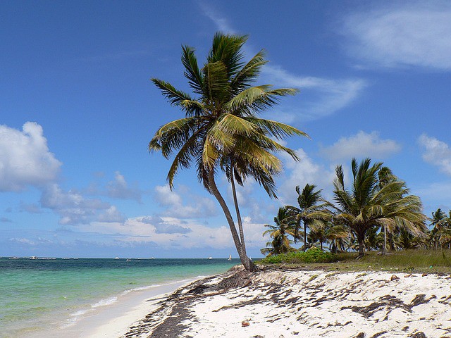 British Airways ofrecerá nuevo vuelo a Punta Cana