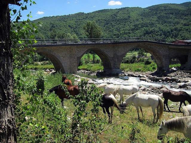 Los destinos rurales destacados del otoño