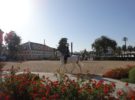 La Real Escuela Andaluza del Arte Ecuestre, en Jerez