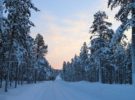 Finnair ofrecerá más vuelos a la Laponia finlandesa