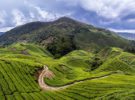 Malasia apostará por el turismo natural