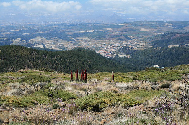 El turismo británico sigue apostando por Tenerife