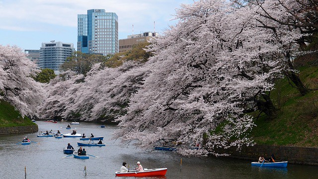 Se incrementa la cifra de turistas que llegan a Tokio