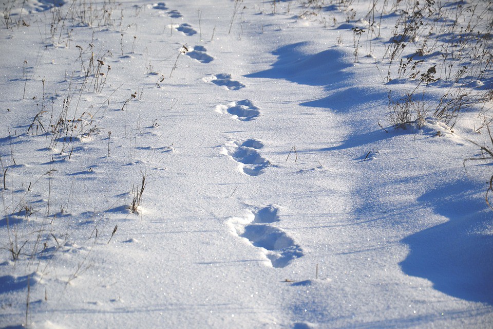 Un pueblo muy frío: Oymyakon