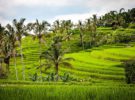 Bali buscará ser destino destacado para el turismo de aventura
